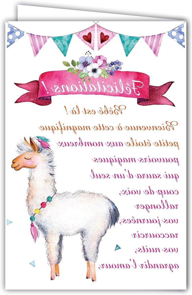 Geboortekaart Meisje - Wenskaart Baby Felicitatiekaart - Geboorte Vieren - Met Gekleurde Envelop - 35 cm breed - Meerkleurig