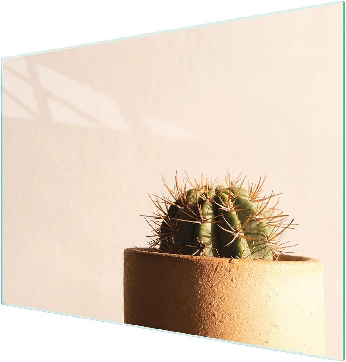 Glazen Werkblad - Kookplaat Beschermer - Keuken Beschermen - Gehard Glas - 30 x 22 cm - Cactus Patroon