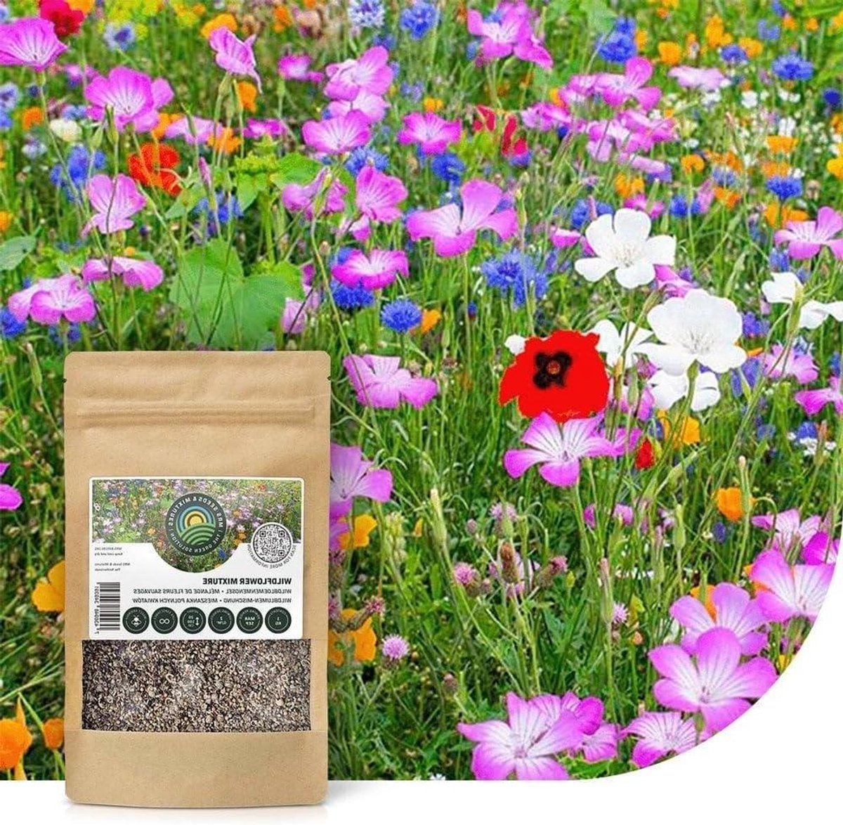 Wildbloemenmengsel - Bloemenweide Zaden - Natuurlijke Tuin Creëren - 62 Bloemsoorten - 250 gram - Kleurrijk