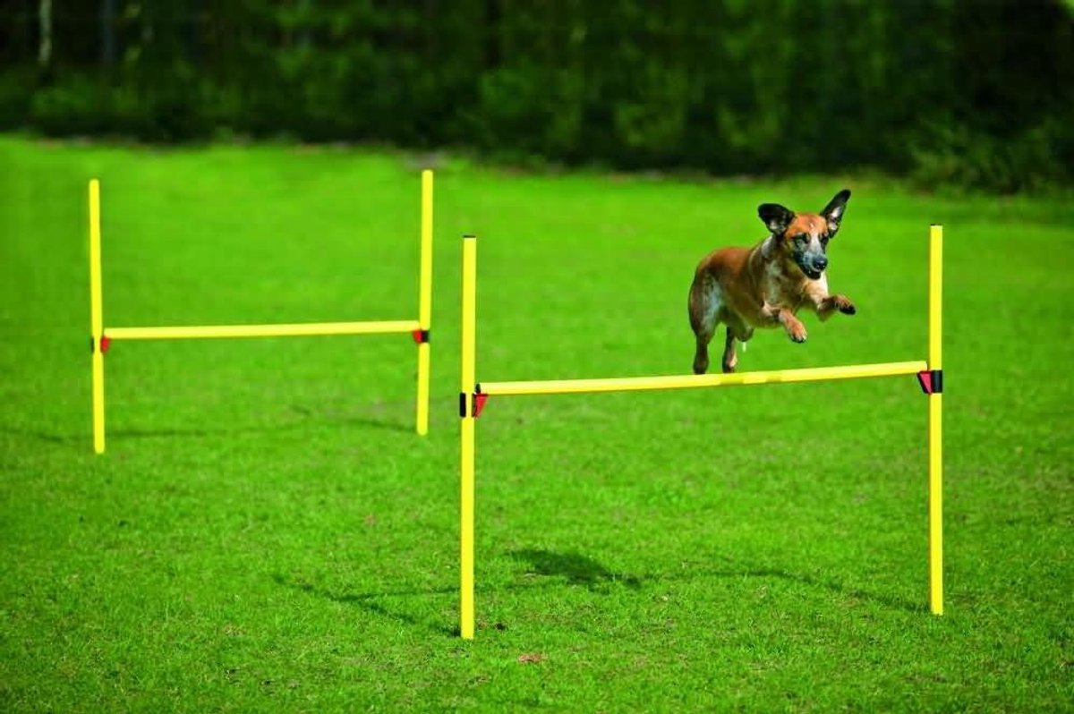 Hordenset Hond - Agility Set - Hondentraining - Contrasterende Kleuren - 8 stuks - Geel