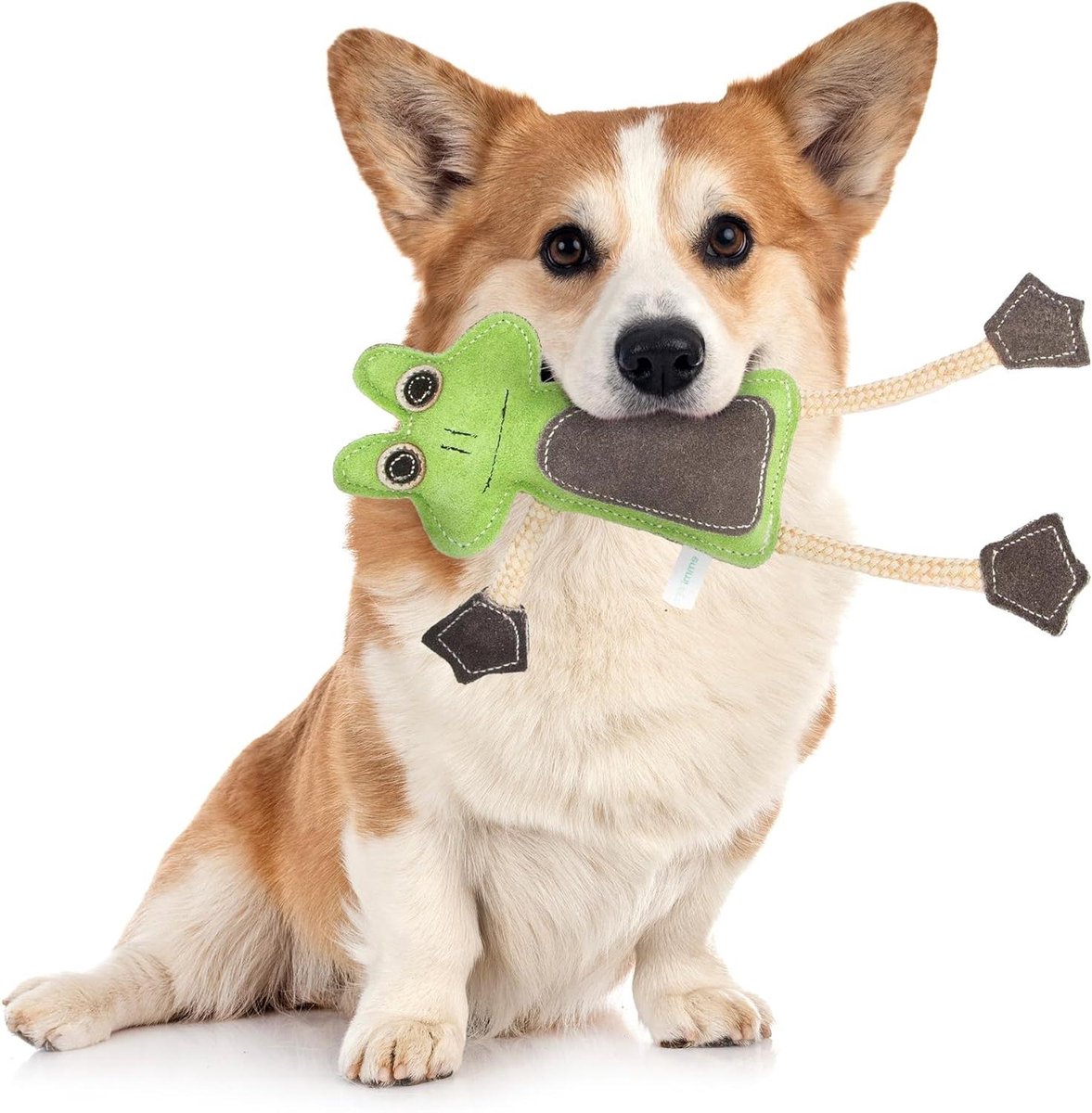 Kikkerspeelgoed Hond - Kauwspeelgoed Honden - Tandverzorging Hond - Piepvrij Speelgoed - 22 cm - Groen