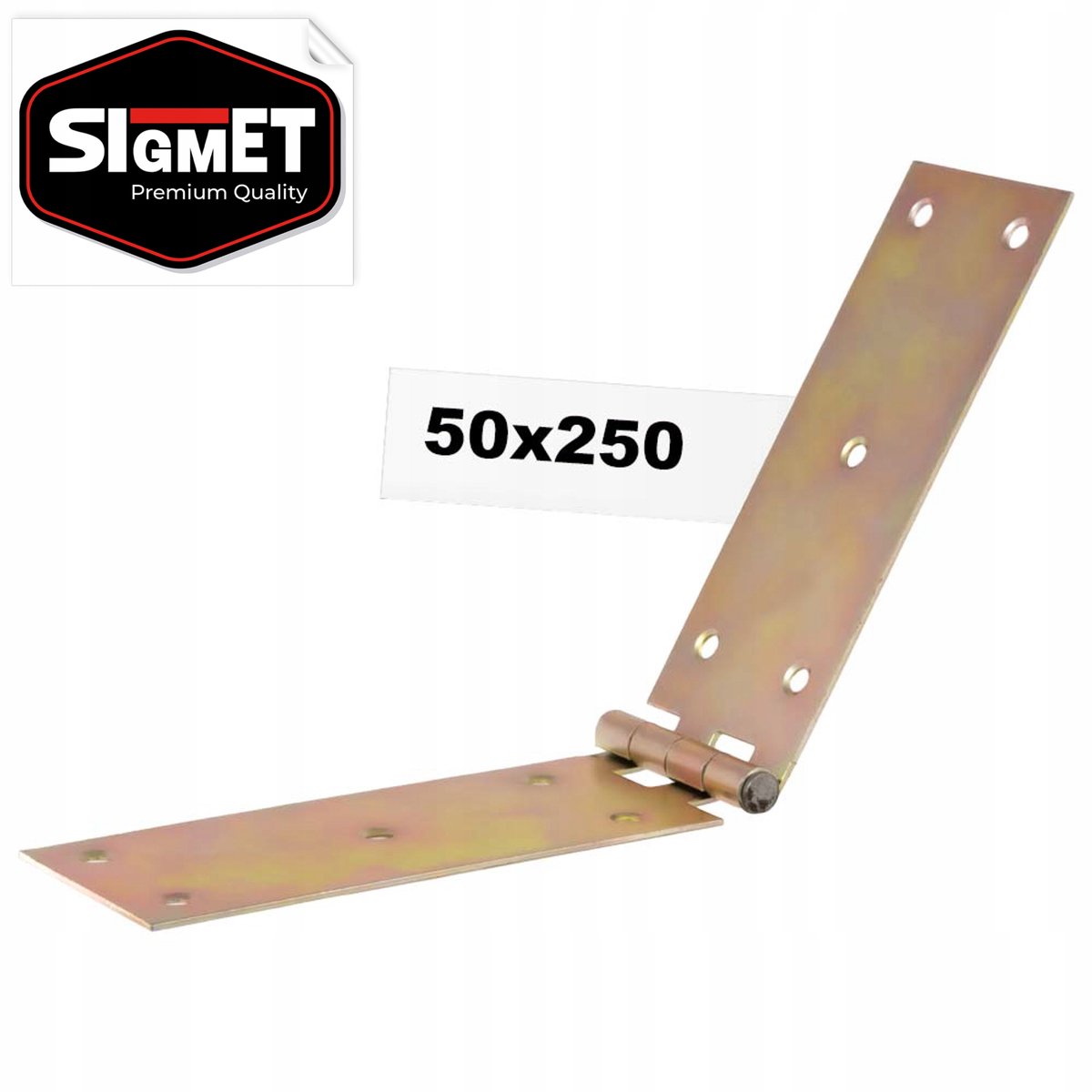 Bouwscharnier 50x250mm Verzinkt voor Poort & Deuren - Stevig
