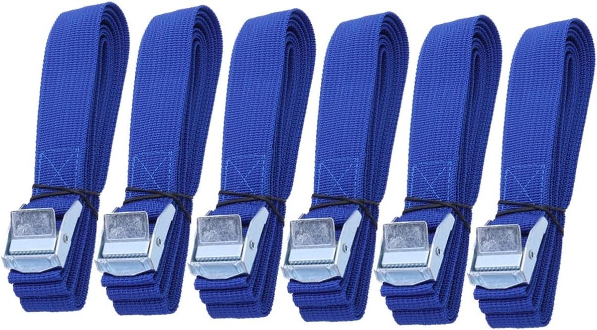 Spanbanden Set - Verlengsnoer Bandjes - Bagage Vastzetten - Met Nokgesp - 250 x 2.5 cm - Blauw