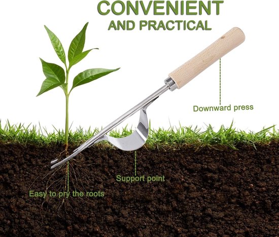 Onkruidsteker voor in de tuin, handmatige weeder, roestvrijstalen onkruidjager, tuinwerk, vork met natuurlijk houten handvat voor graven, wieden, losmaken, 32 cm lang, 1 stuk — afbeelding 3