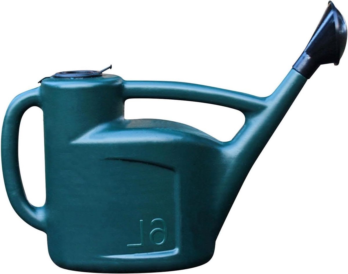 Tuingieter Lange Uitloop - Gieter Planten - Planten Water Geven - Afneembaar Mondstuk - 6L - One Color