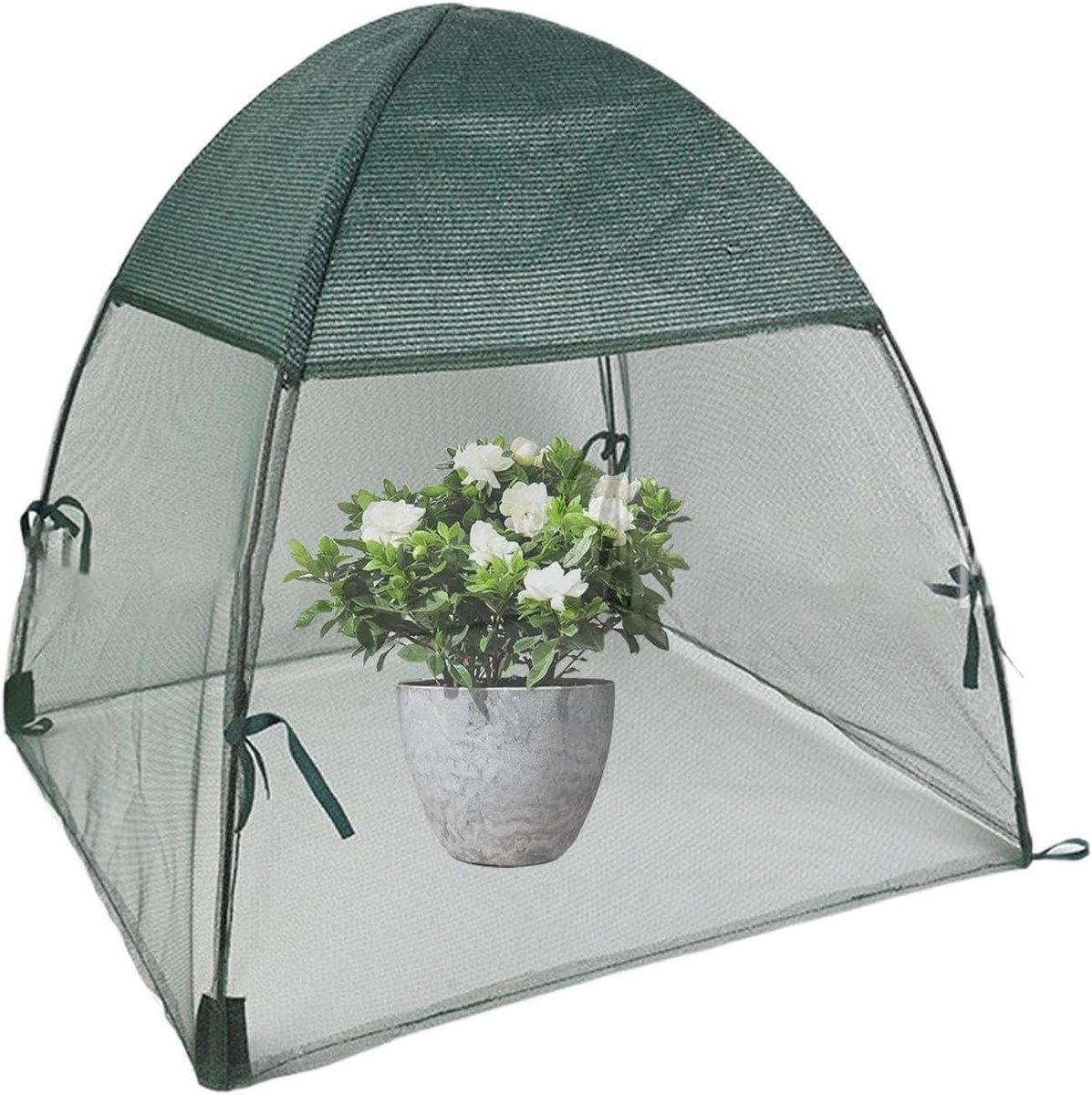 Kweekkas voor Planten - Mini Kas Groente - Planten Beschermen - Transparant PE Gaas - 56x56x56cm - Transparant