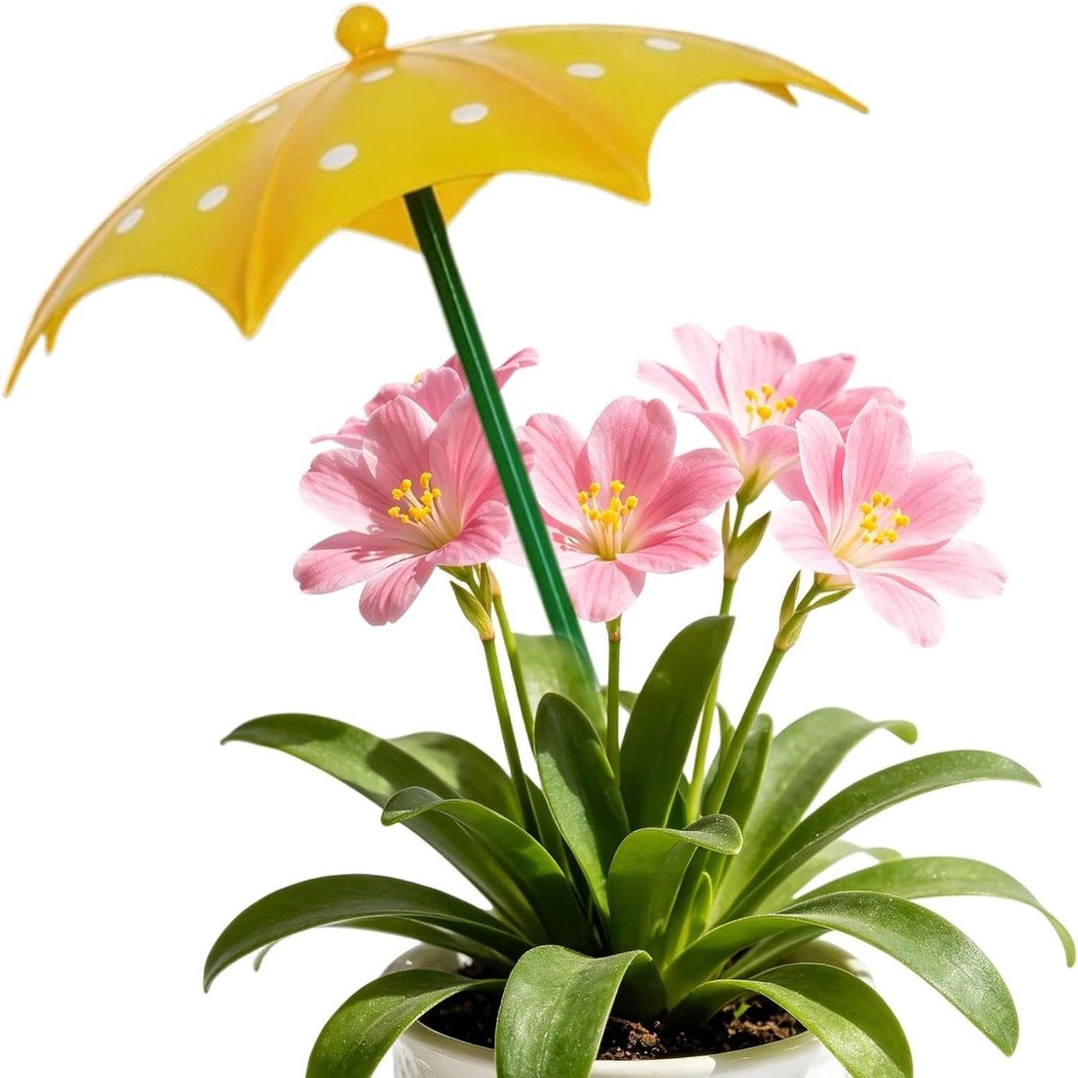 Plantenparaplu - Mini parasol schaduw - Beschermen tegen zon - Ijzeren frame - 42.5x25.5x25.5cm - Niet gespecificeerd