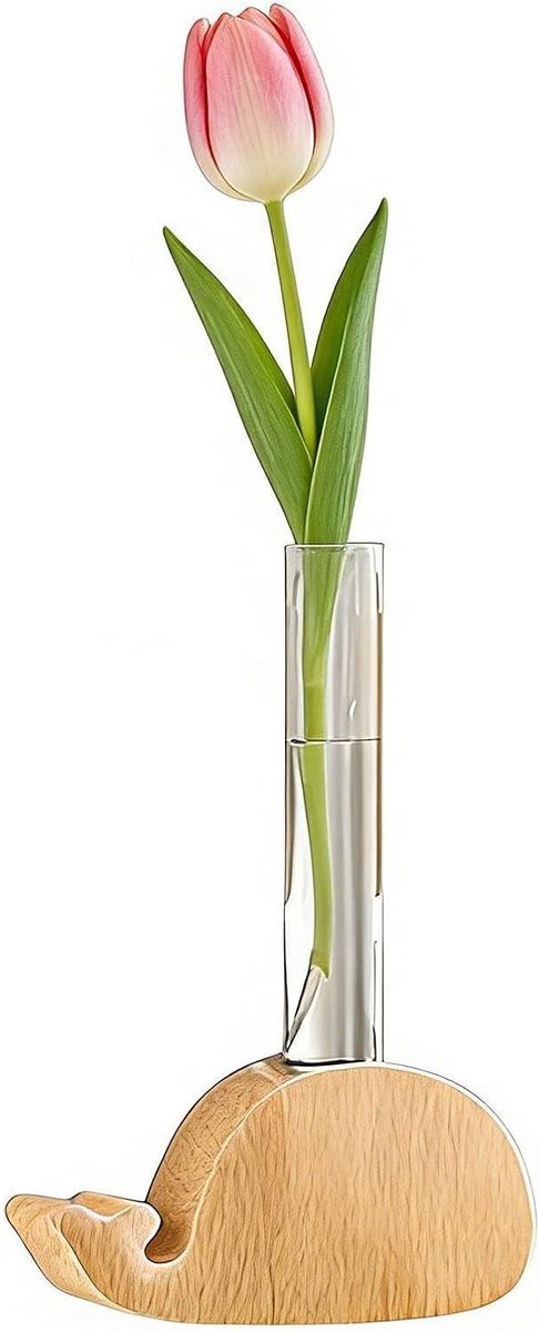 Magneet Vaasjes - Reageerbuis Decoratie - Planten Verpotten - Transparante Vaas - 12x6 cm - Hout