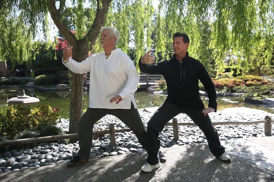 Tai Chi DVD - Bewegingsleer DVD - Ontspannen Lichaam - Zonder Vorm Memoriseren - 45 minuten - N.v.t. — afbeelding 2