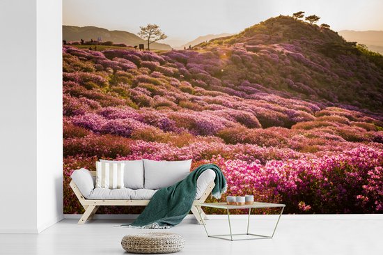 Papier peint photo peint photo vinyle - Paysage de bruyère vallonnée largeur 330 cm x hauteur 220 cm - Tirage photo sur papier peint (disponible en 7 tailles)