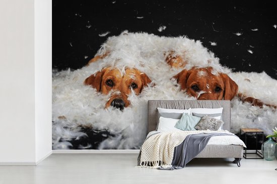 Papier peint photo peint photo vinyle - Labradors cachés entre les plumes largeur 390 cm x hauteur 260 cm - Tirage photo sur papier peint (disponible en 7 tailles)