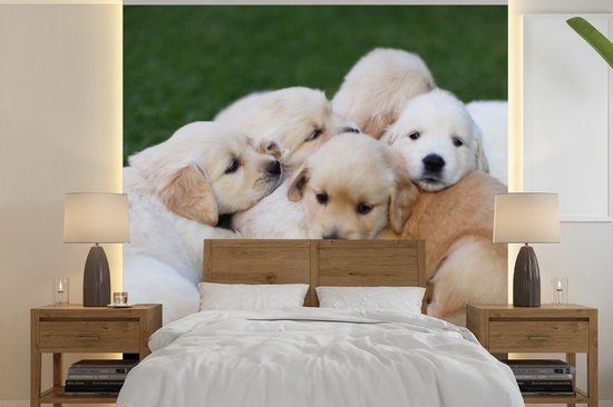 Een stapel gouden puppy's op groen gras, in een slaapkamer.