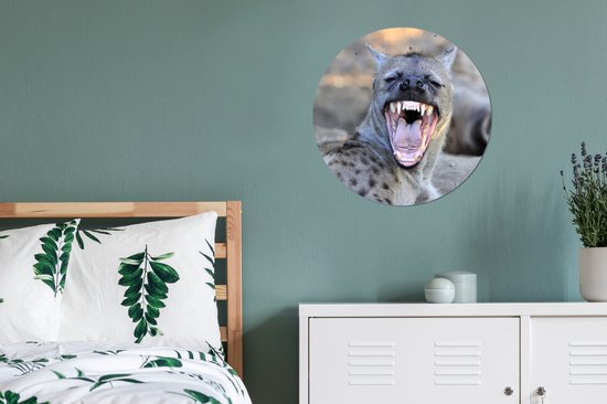 Une hyène bâillante en Afrique Cercle mural aluminium ⌀ 60 cm - impression photo sur cercle mural / cercle vivant / cercle de jardin (décoration murale)