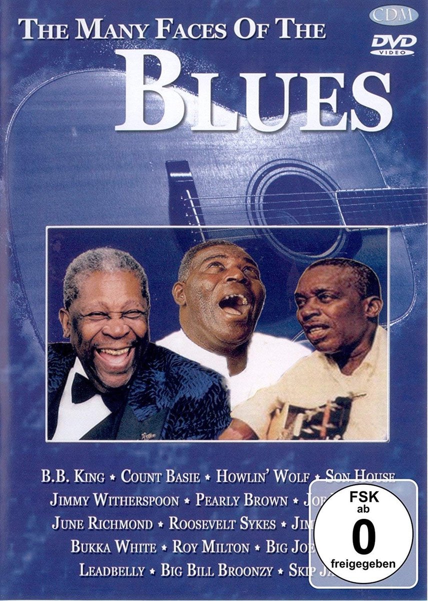 Blues verzamelalbum - 2 CD's - diverse artiesten - ontdek de rijke bluesgeschiedenis - ShopVlot