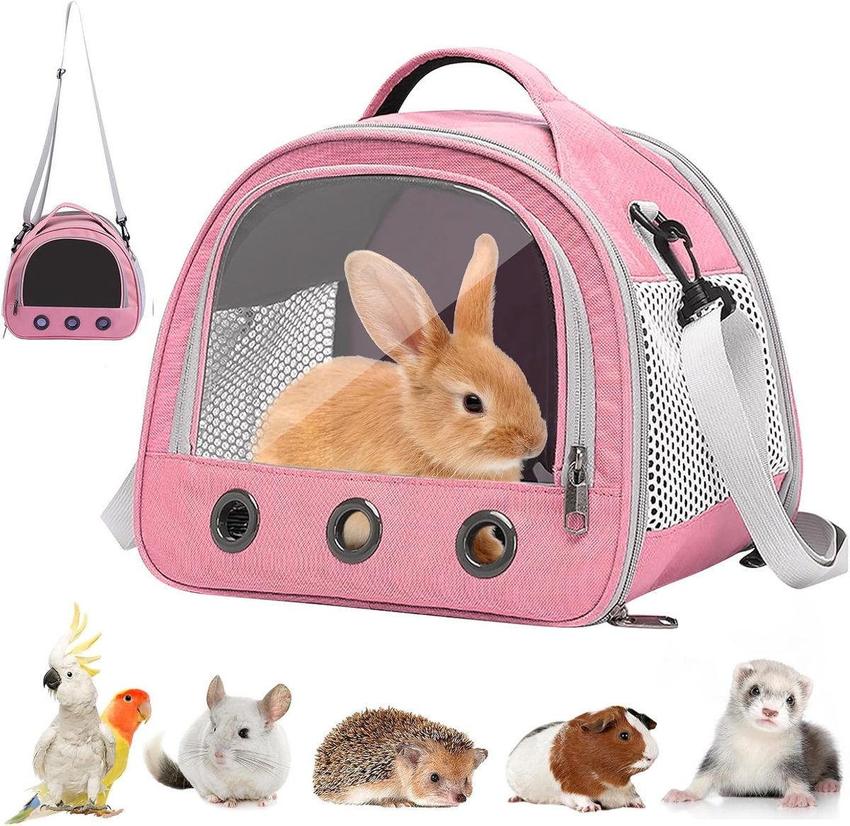 Transportbox voor kleine huisdieren, draagtas voor katten en honden, transporttas met krasbestendig net, opvouwbare kattentas, voor vogels, kittens, puppy's, hamsters (P)