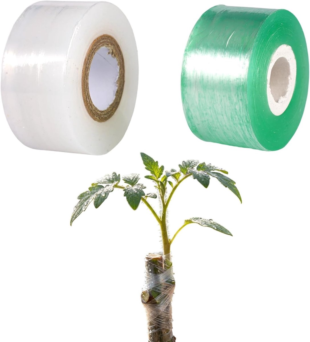 Entband 3cm x 200m - Groen en Wit - Zelfklevend en Rekbaar - Ideaal voor Enttechnieken - SnelShoppen