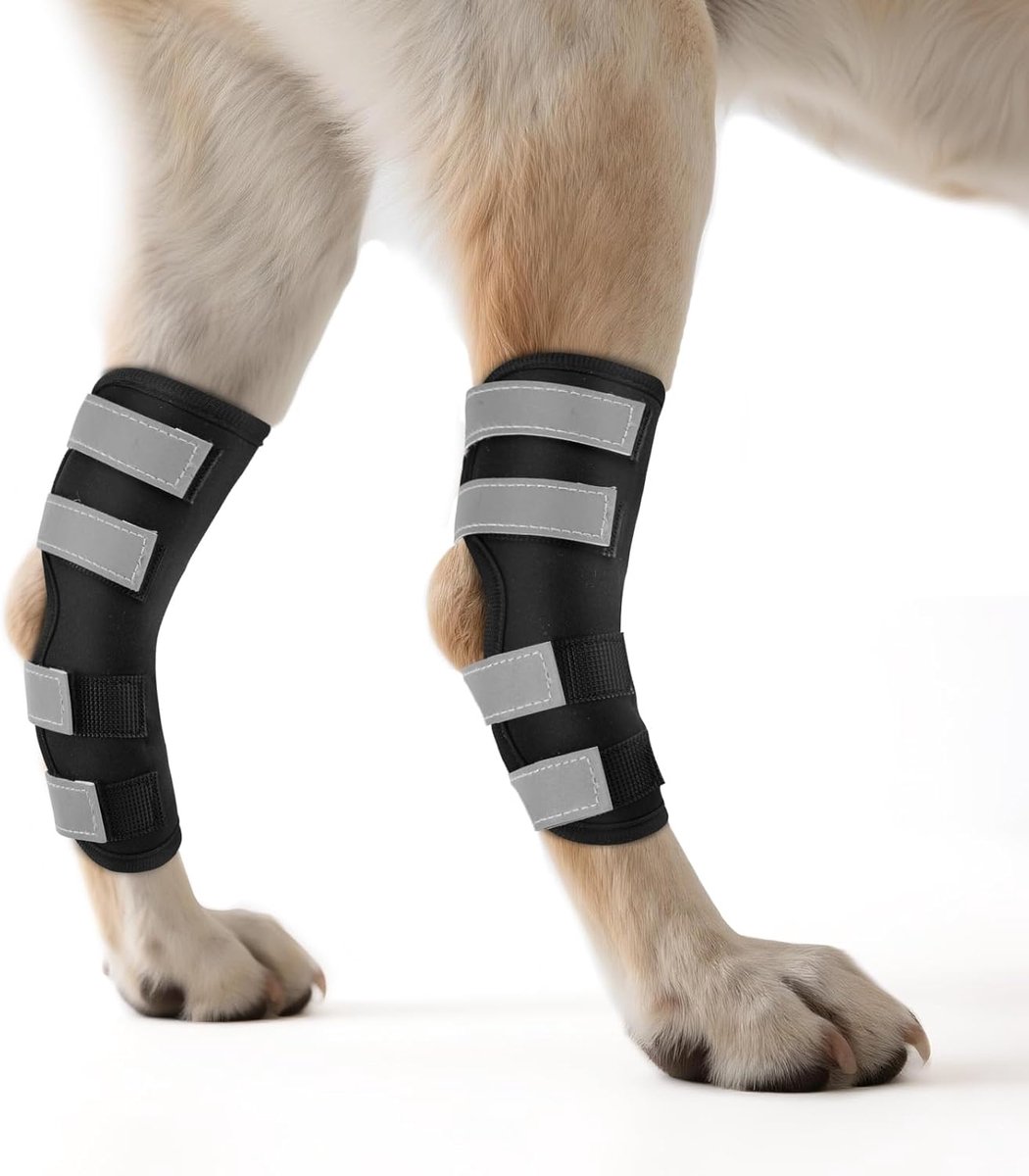 Kniebandage voor honden, 2 stuks met reflecterende riemen, antislip bandage voor de achterpoten van de hond, gewrichtssteun voor de genezing van wonden en verstuikingen, M