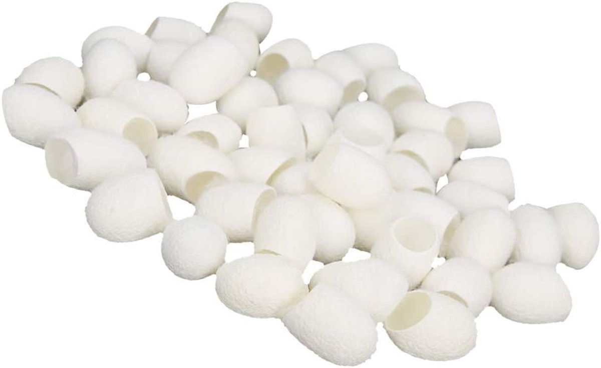 Cocoons , with Silkworm Cocoon 50pcs Silk Ball Cocoons for Better Results