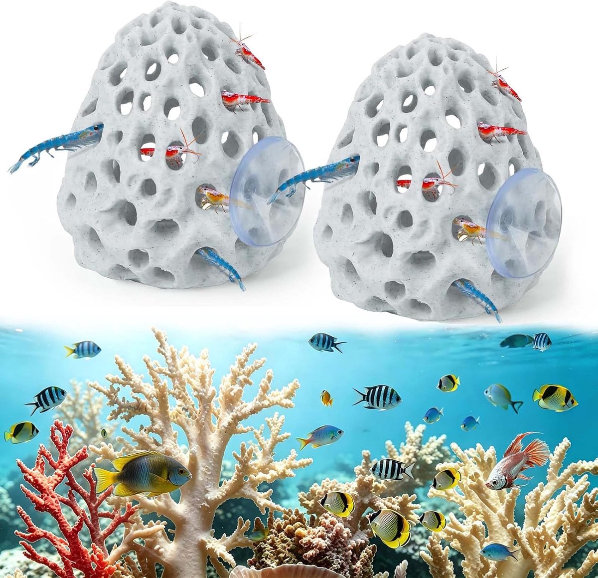 Garnaalkoepelverstopplaats set van 2 - multifunctionele aquariumverstopplaats - met zuignappen - ShopVlot