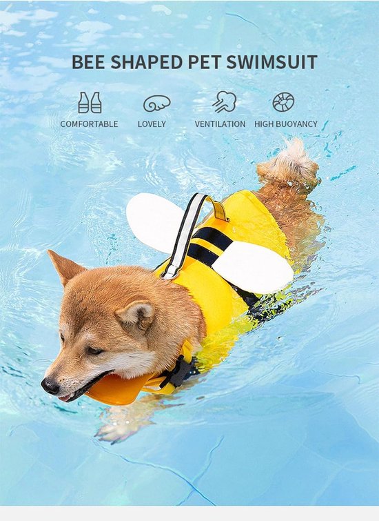 Een hond zwemt in een zwembad, draagt een geel bijen-zwemvest met zwarte strepen en witte vleugels. Tekst: bijen-zwemvest, comfortabel, lief, ventilatie, hoog drijfvermogen.