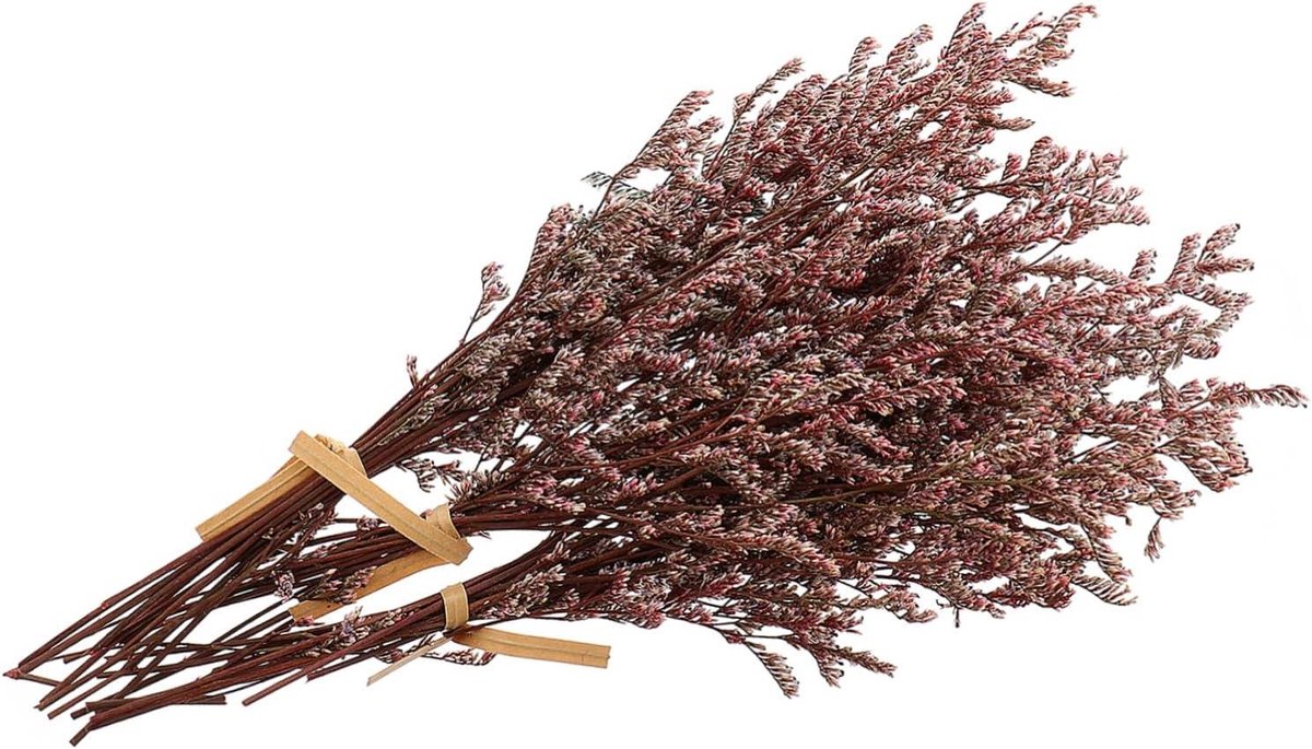 Gedroogde Bloemen Takken - Kunstbloemen Decoratie - Huis Decoreren - Natuurlijk en Vervaagt Nooit - 10 Gram - Rood