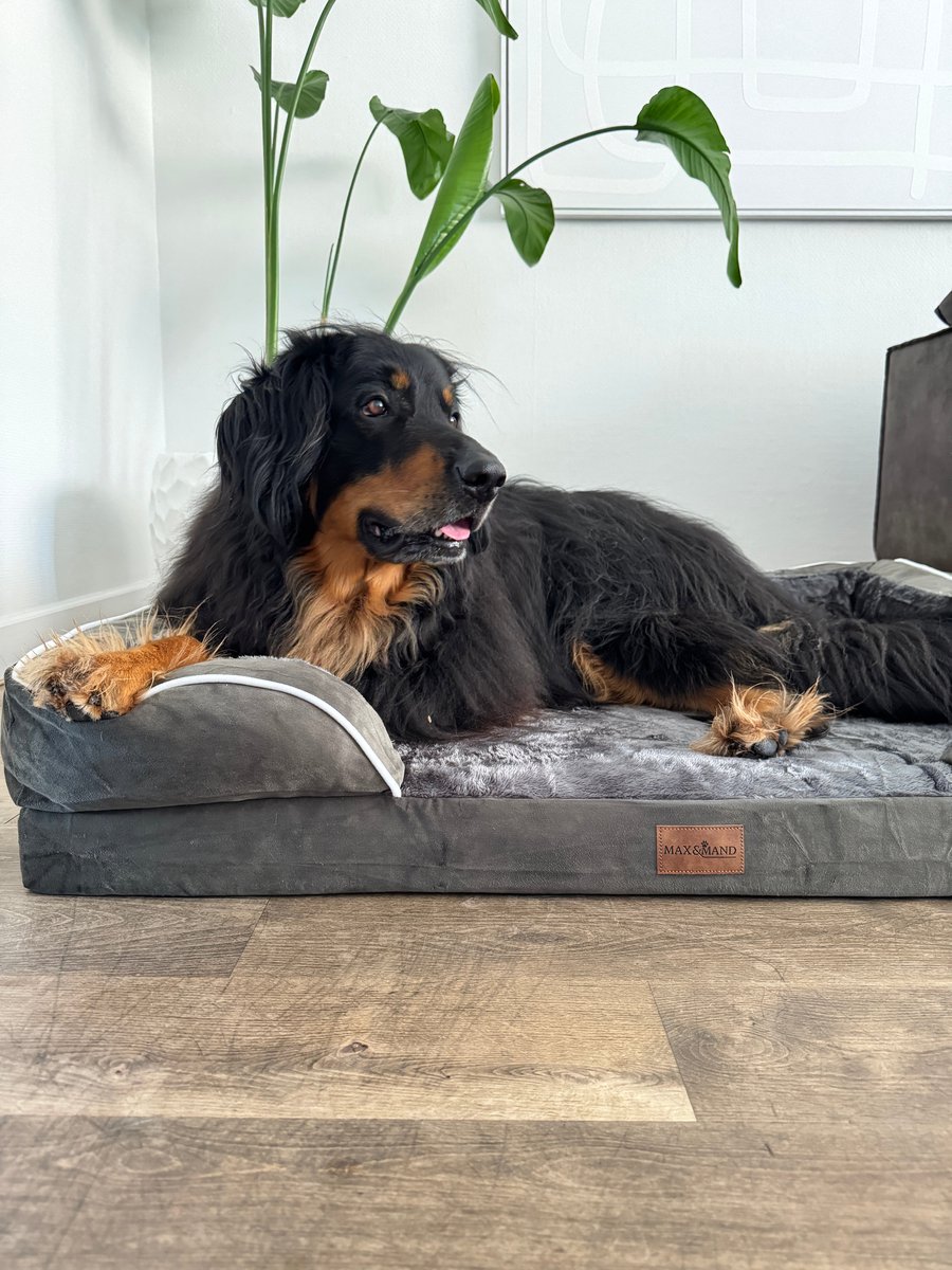 Max&Mand Orthopedische Hondenmand L 115x90x22 cm - Memory Foam Hondenbed Grote Hond - Hondenkussen - Wasbare Afneembare Hoes - Antislip - Donkergroen