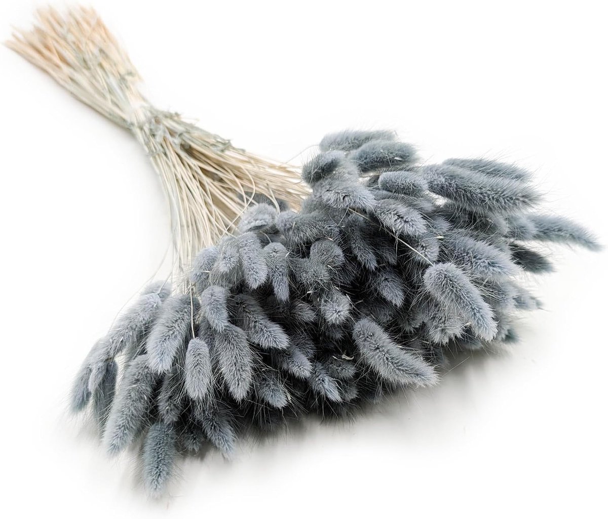 Dekogras, gedroogd gras, siergras, hazenstaarten, lagurus, ovatus, fluweelgras, haasstaartgras, droogbloemen, natuurlijk boho, 120 - 150 stuks, 100 g, parelgrijs