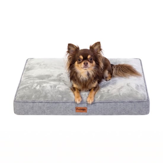 Chien brun allongé sur un coussin pour chien gris rectangulaire sur fond blanc.