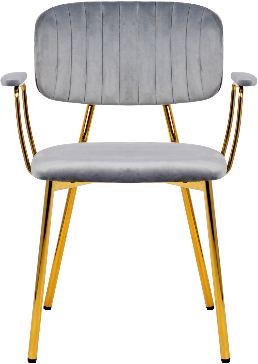 Padiro eetkamerstoelen set van 2 - grijs - fluweel - met armleuningen - ijzeren onderstel - retro
