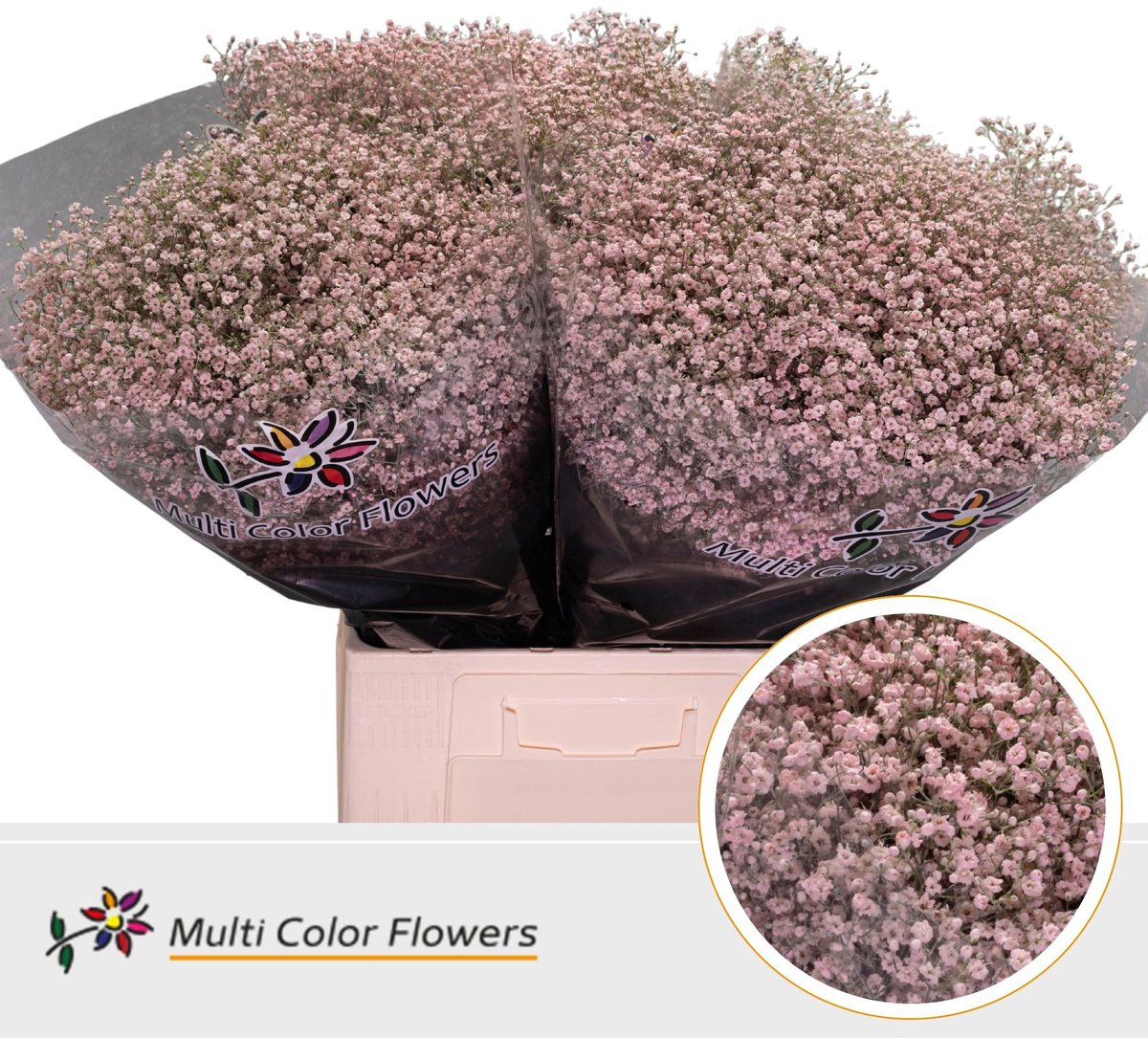 25x Gipskruid m.stars roze 70cm