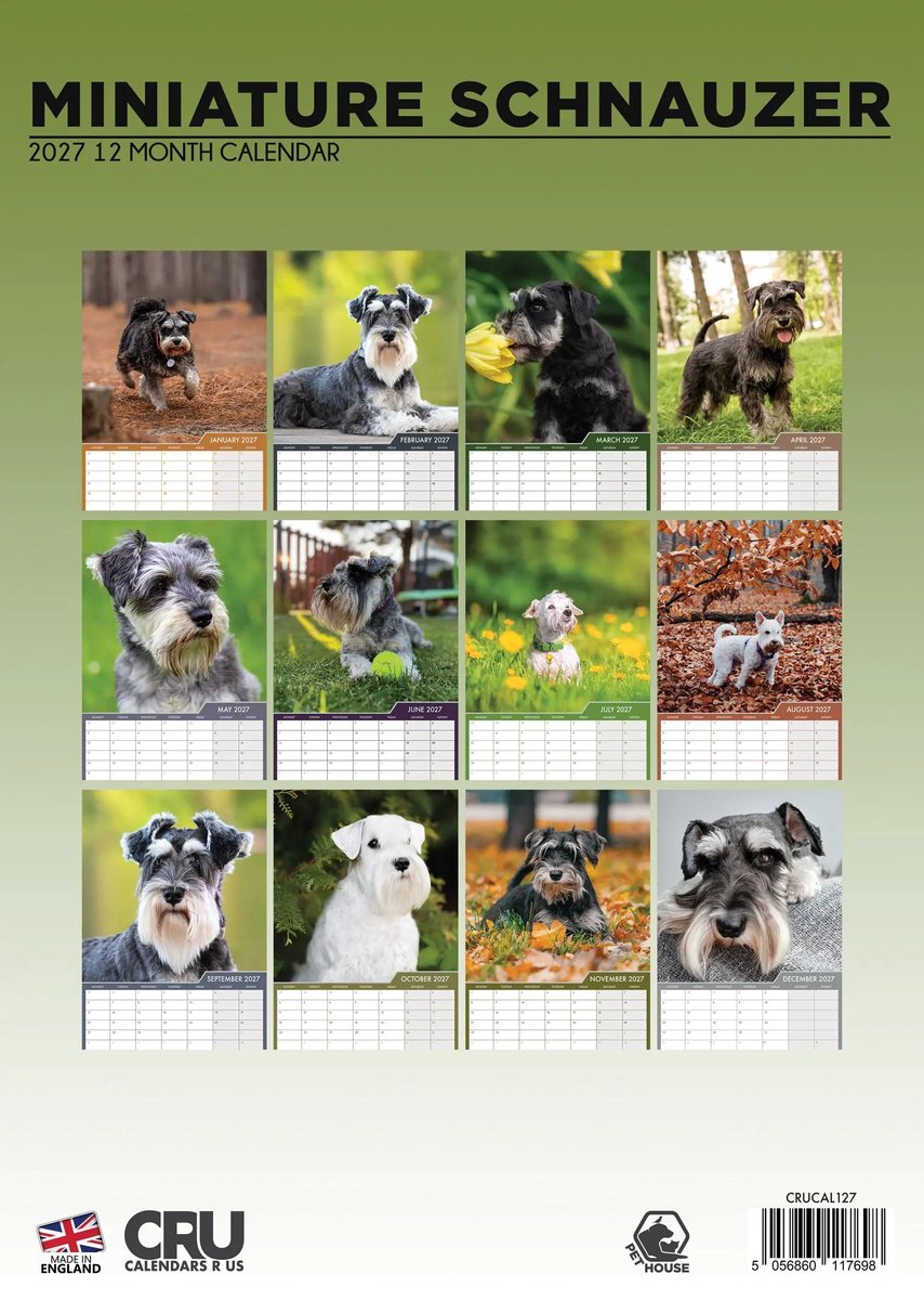 Miniatuur Schnauzer A3 Kalender 2027