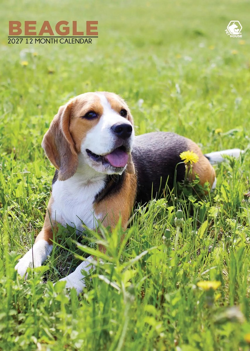 Beagle A3 Kalender 2027