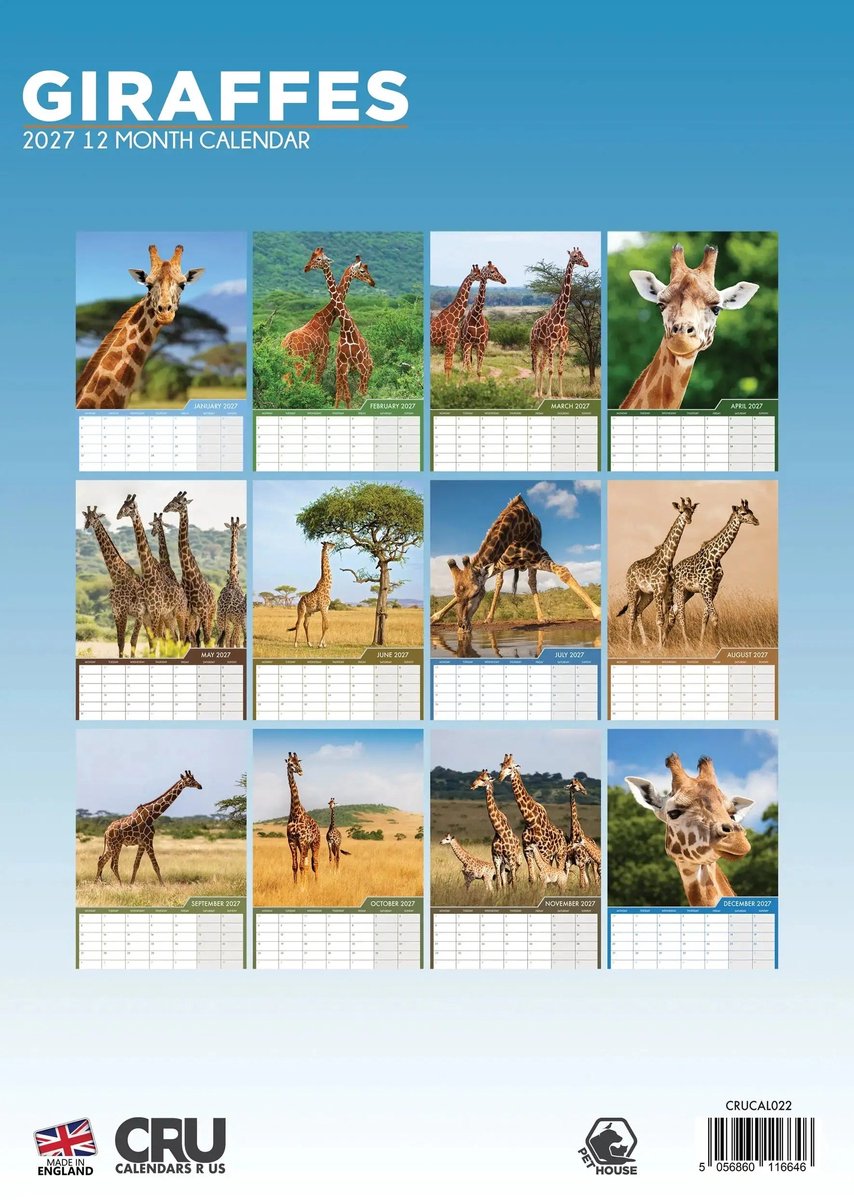 Giraffe A3 Kalender 2027