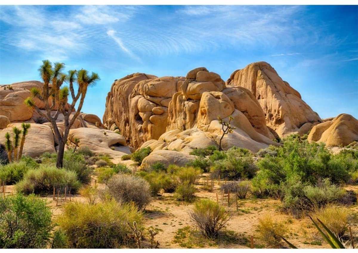 Elzusha - Woestijn Achtergrond voor Fotografie - Joshua Tree Nationaal Park