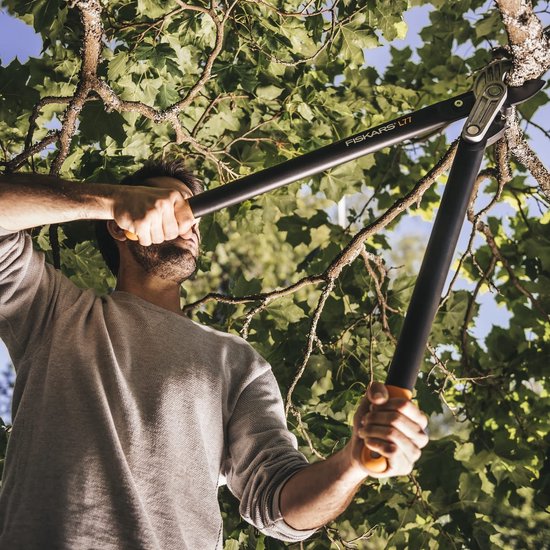 Man met Fiskars L77 takkenschaar in boom, zwarte handvatten met oranje accenten.