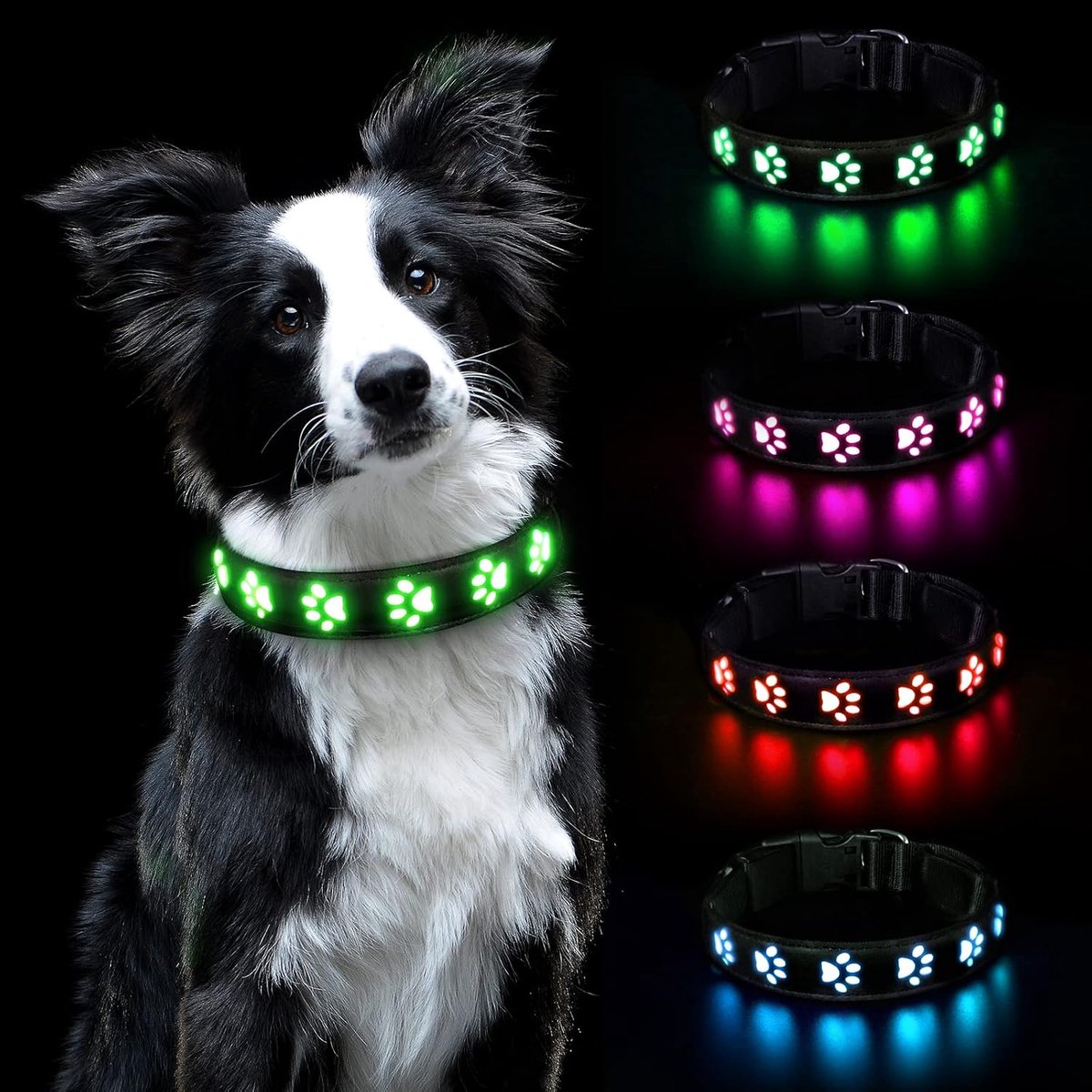 Lichtgevende Halsband, LED-Lichtgevende Halsband, Halsband, USB Oplaadbaar, Waterdicht Voor Kleine, Middelgrote En Grote Huisdieren, Veiligheidshalsband Met 3 Verlichtingsmodi (Groen-M)