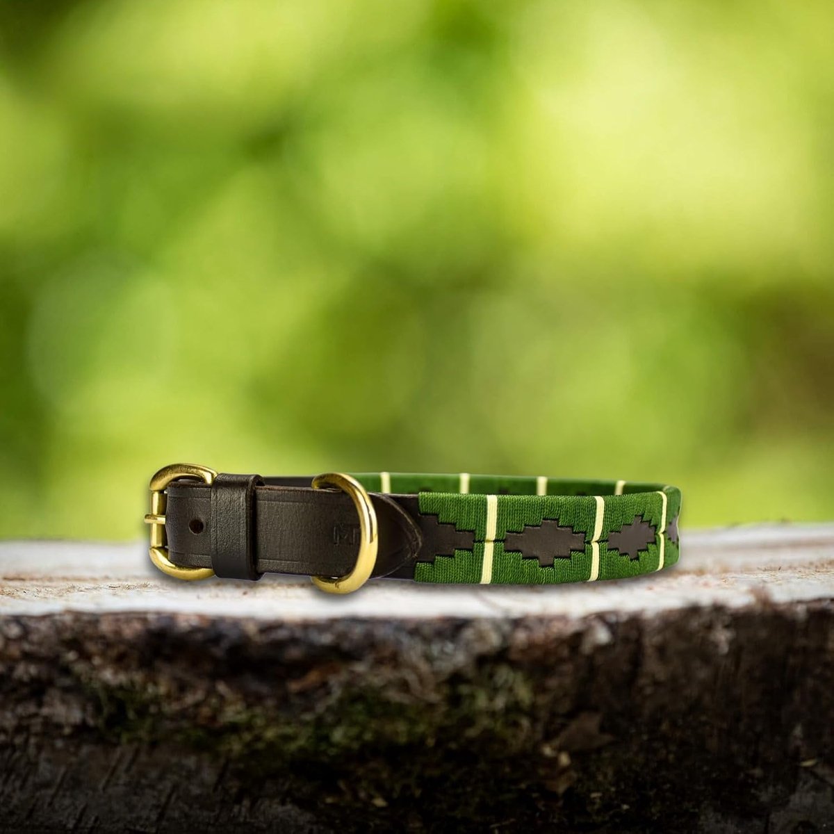 Leren Hondenhalsband In Polo-Stijl – Verstelbaar En Handgemaakt Van Premium Leer – Sterke Gespen – XS T/M XL – MTB Equestrian (Groen, L)