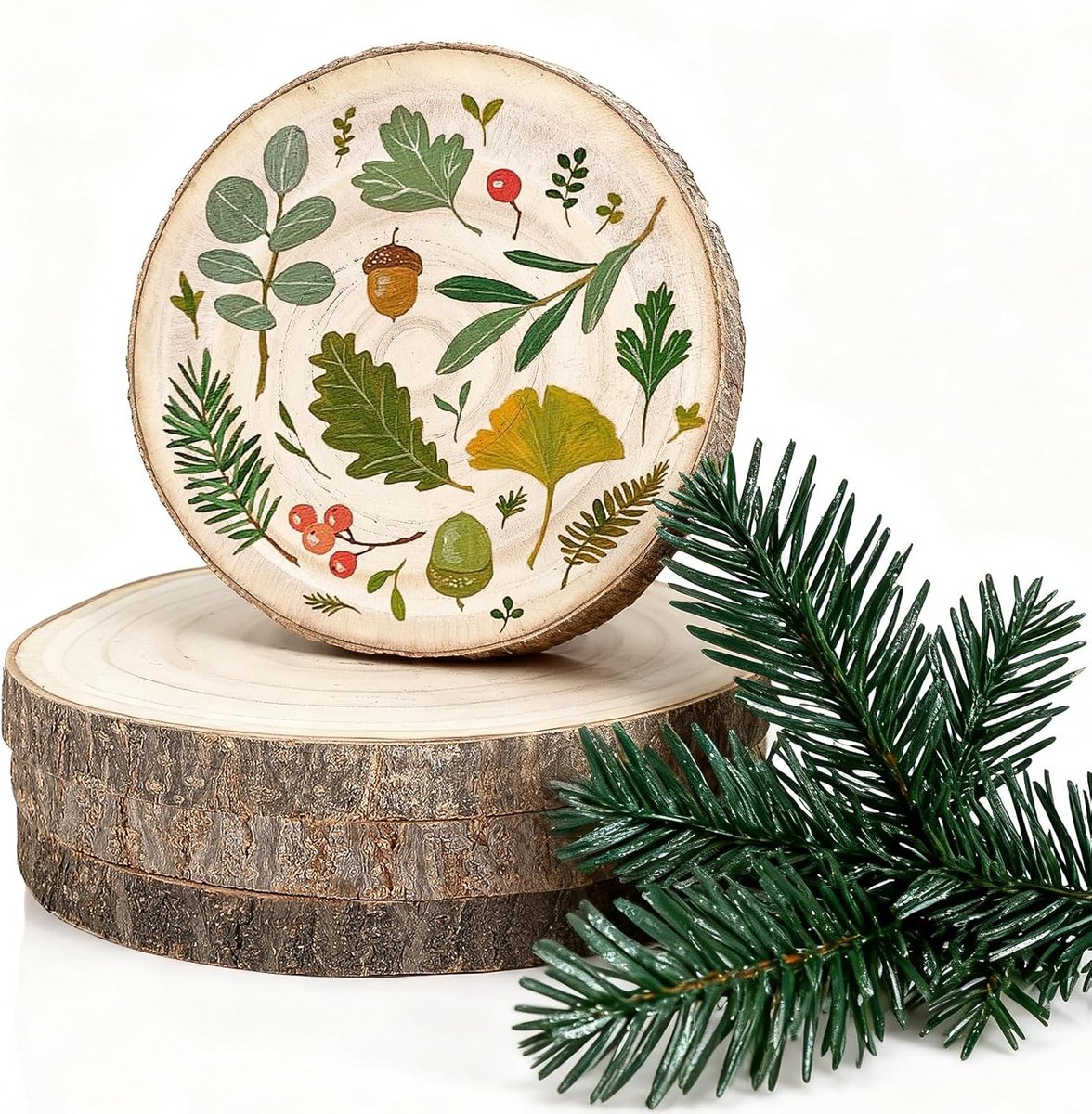 houten schijven