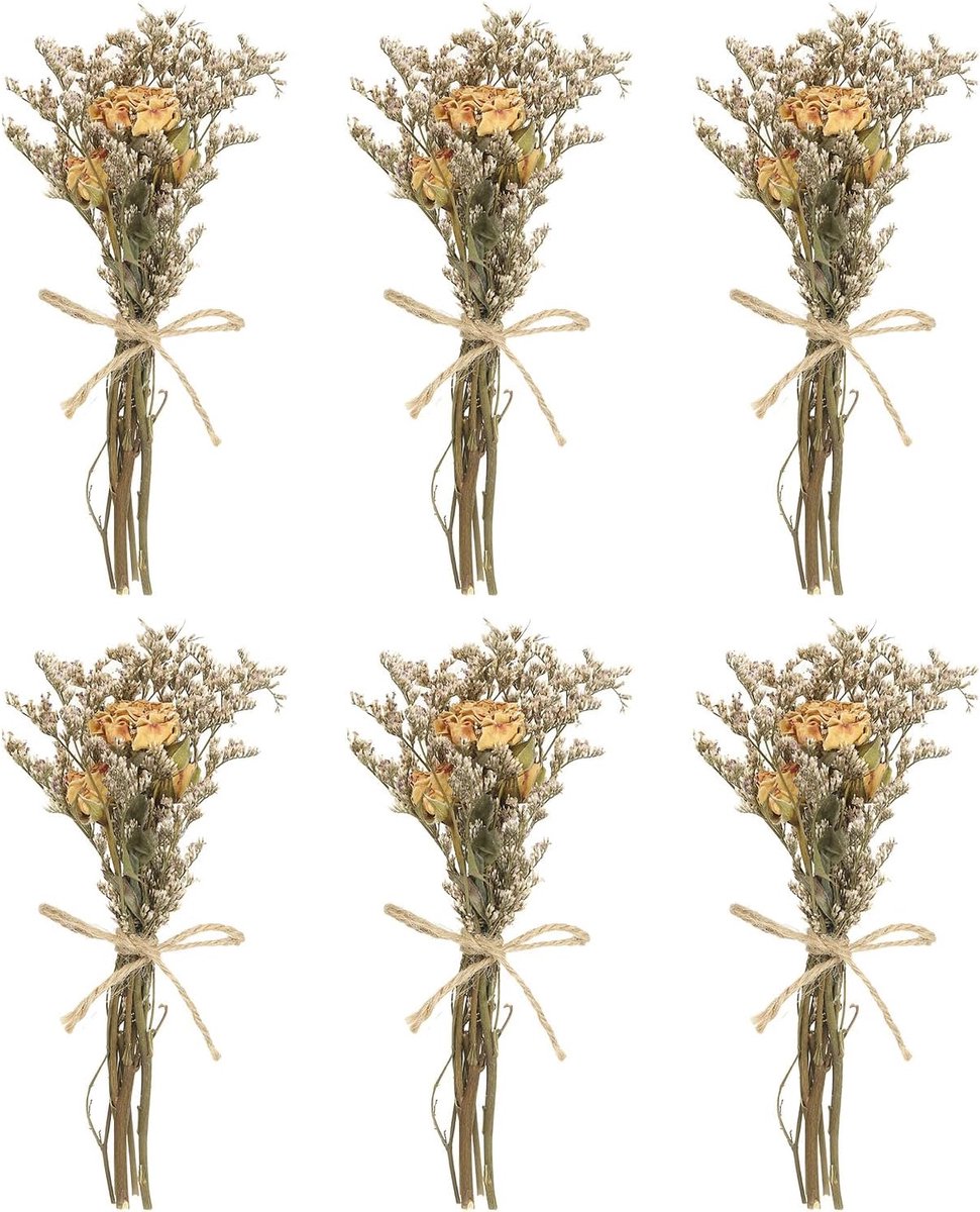 Droogbloemenboeket mini, 6 stuks, rozen, natuurlijke wilde bloemen met steel, decoratie, Gisophila, boho, bloemenplant voor doe-het-zelf handwerk, cadeau, bruiloftsdecoratie, crème