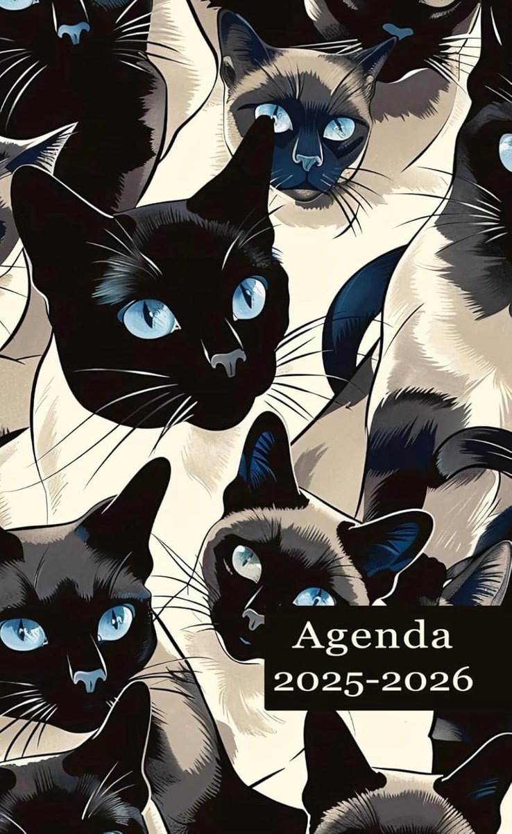 Agenda 2025-2026 petit formaat de poche - week- en maandplanner - 24 maanden organiser - ShopVlot