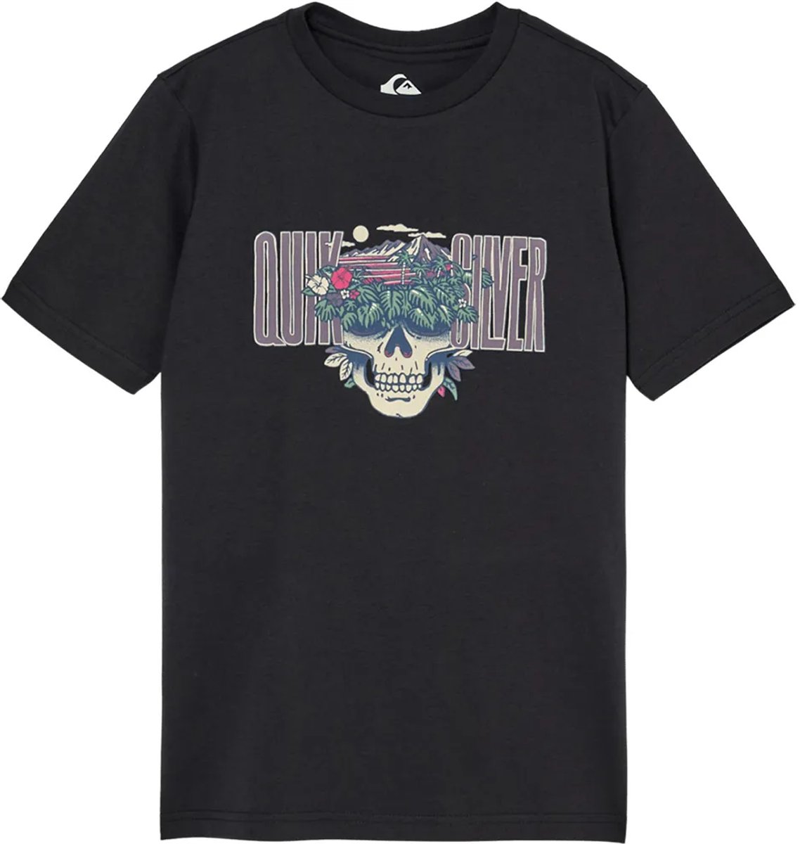 Quiksilver Paradise Point T-shirt Met Korte Mouwen 12 Years Jongen Zwart
