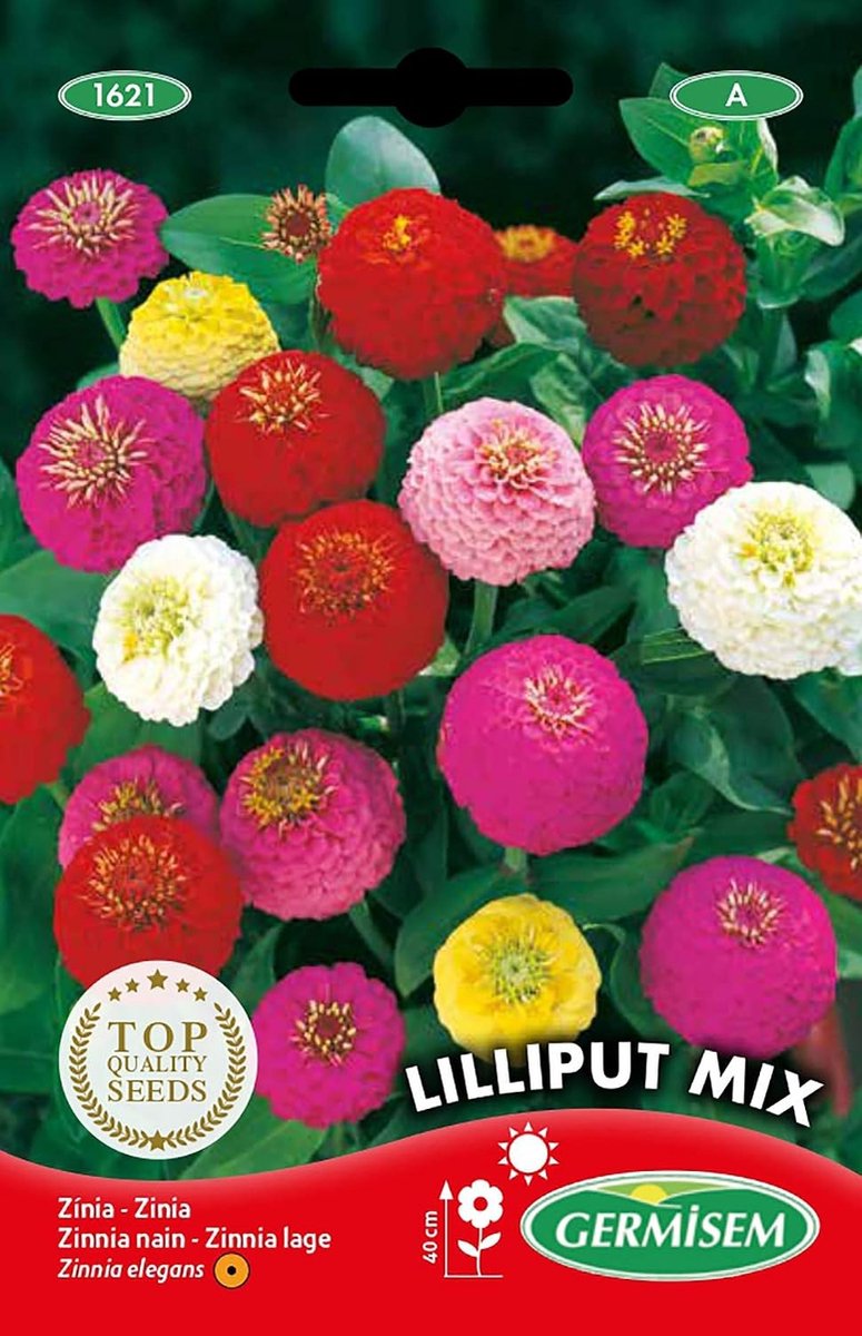 Zaden Mix Zinnia - 1.5 g - Gemengde Kleuren - Lage Pompon Bloemen - Voor Tuinliefhebbers
