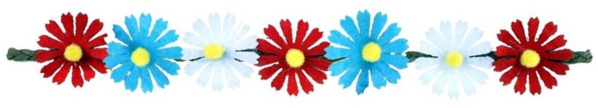 Hoofdband Ibiza met bloemen