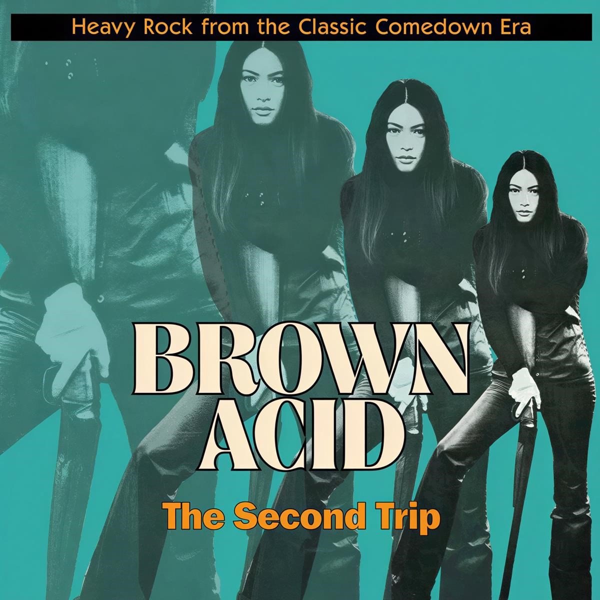 Various Artists - Brown Acid: The Second Trip (LP)