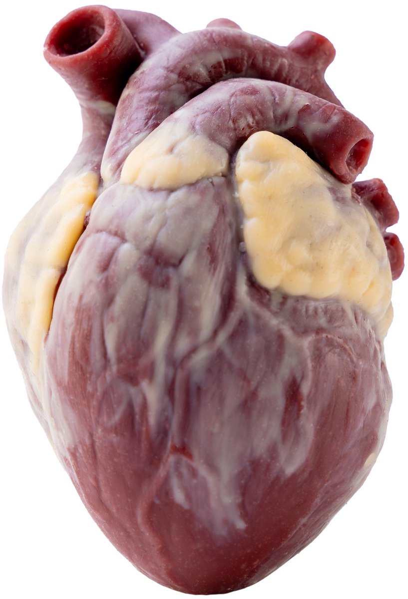 Klein Hart Van Siliconen - Vulbaar Met Nepbloed (12 Cm)
