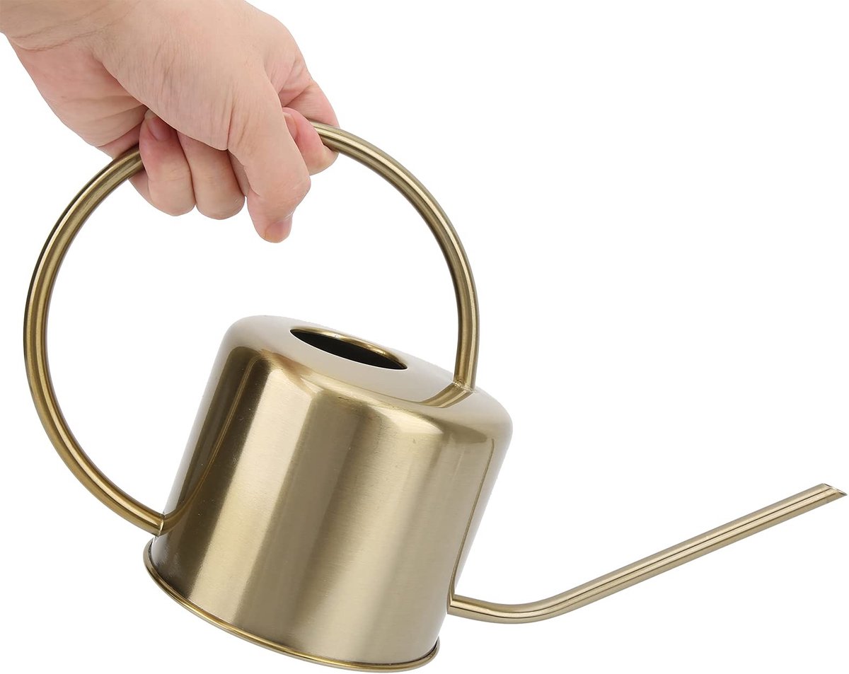 Dailygoods- Gieter 1300ml - Gieter met lange tuit - Roestvrij staal - Decoratie bloemschuur - Duurzaam en praktisch - Tuingieter
