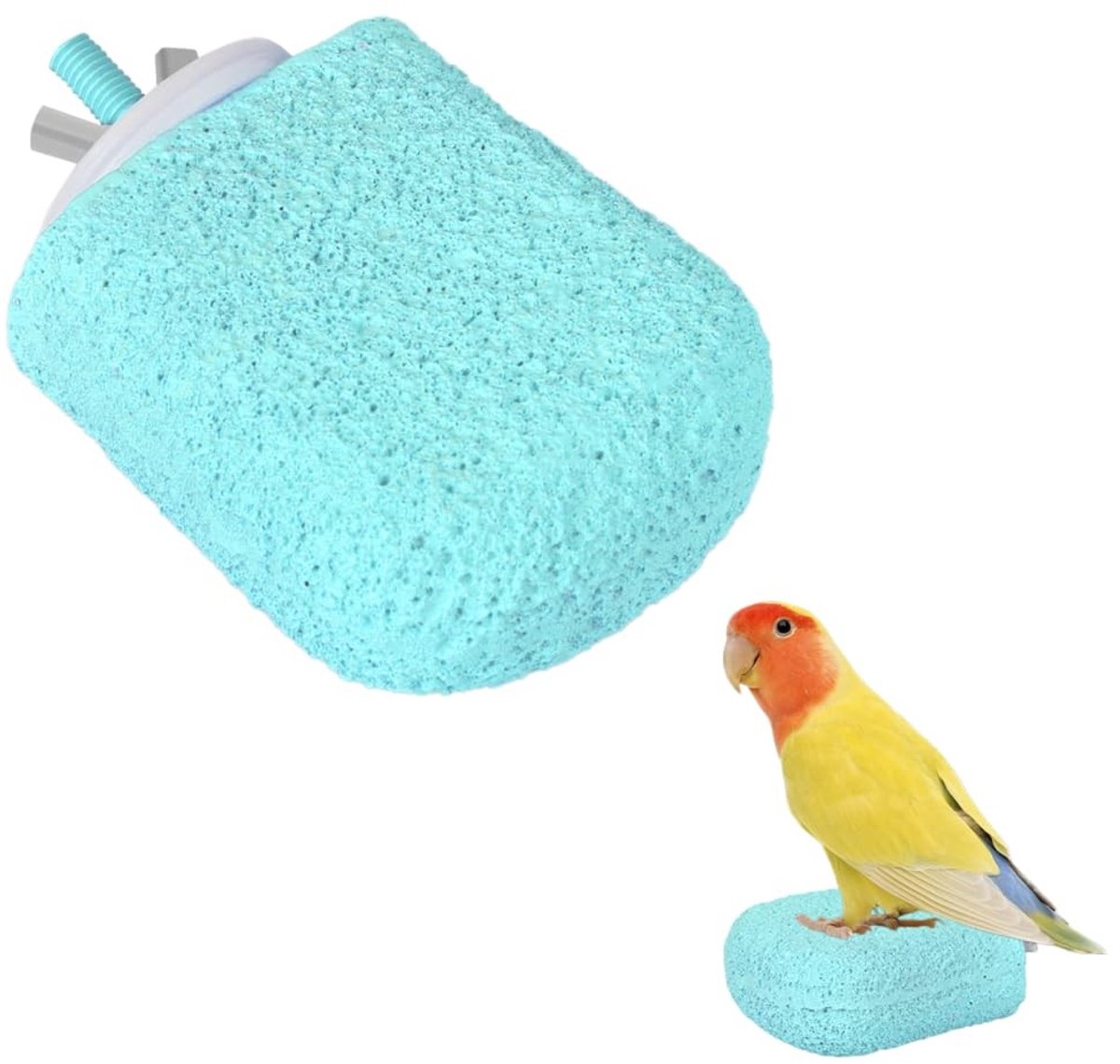 Dailygoods- Vogelbek Slijpsteen Antislip - Vogelzitsteen Standaard - IJsmodel voor Papegaaien - Geschikt voor Valkparkieten - Snelle Installatie - Meerdere Toepassingen - Zitstok