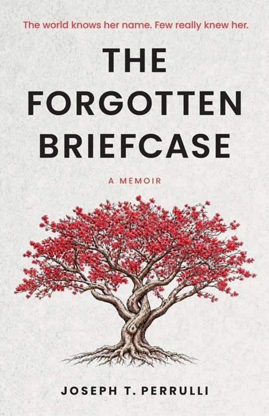 The Forgotten Briefcase - cover