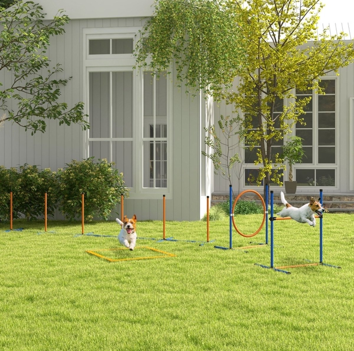 COVREO honden agility set 352 x 66 x 69 cm, oranje blauw kunststof horde en slalom