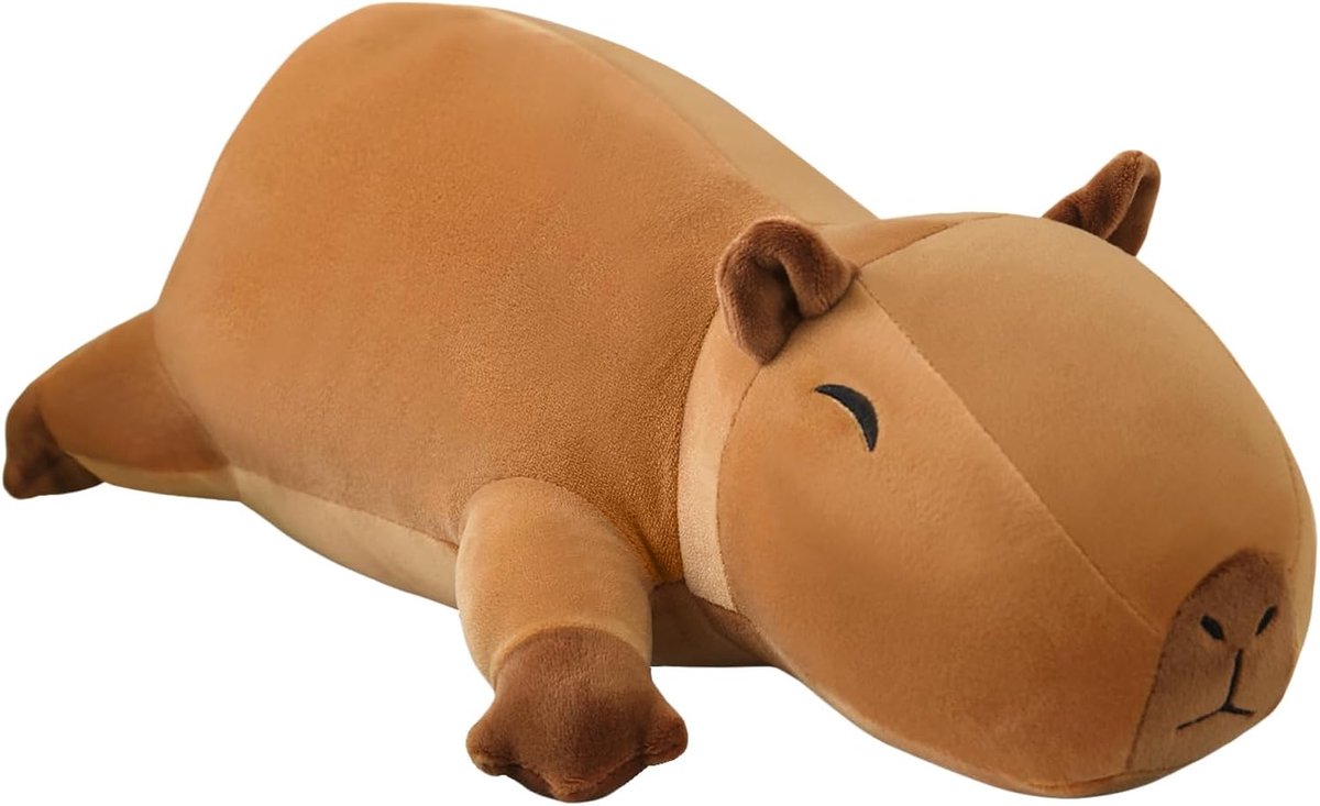 Verzwaard Capibara Pluche, Verzwaard Capibara Knuffeldier, Schattige Pluche Zacht Kussen Speelgoed Cadeau voor Kinderen Volwassenen 25 cm, 0,36 kg